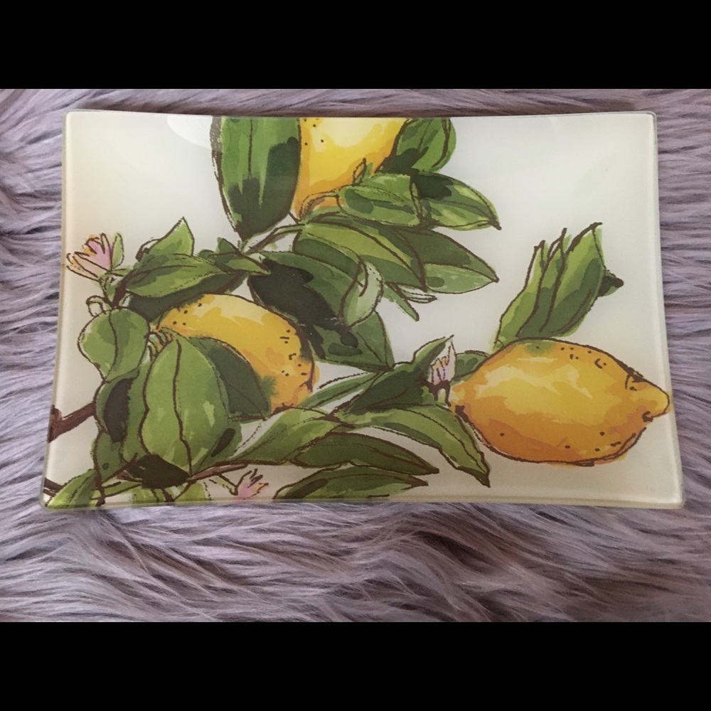 POTTERY BARN Lemon Tray Decoupage 10x6.5 NWT